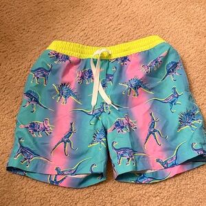 Chubbies Kids Swim Trunks - Blue and Pink Dinosaur Print